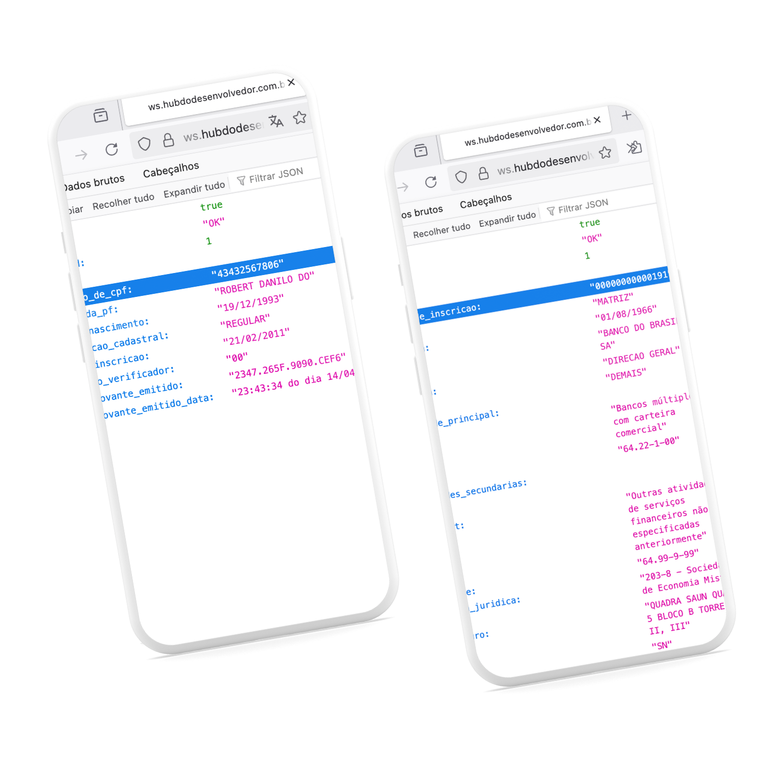 WebService CNPJ, CPF, CEP